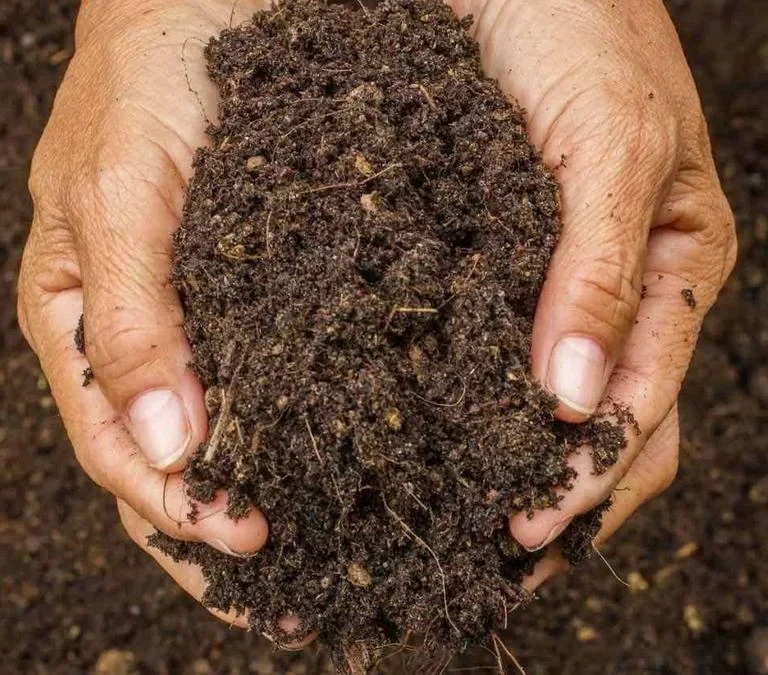 Fertilizantes Solubles